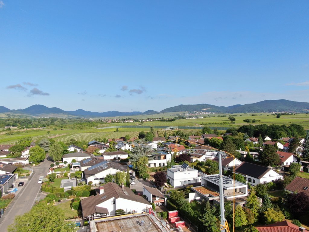 DJI_0980 (FILEminimizer)