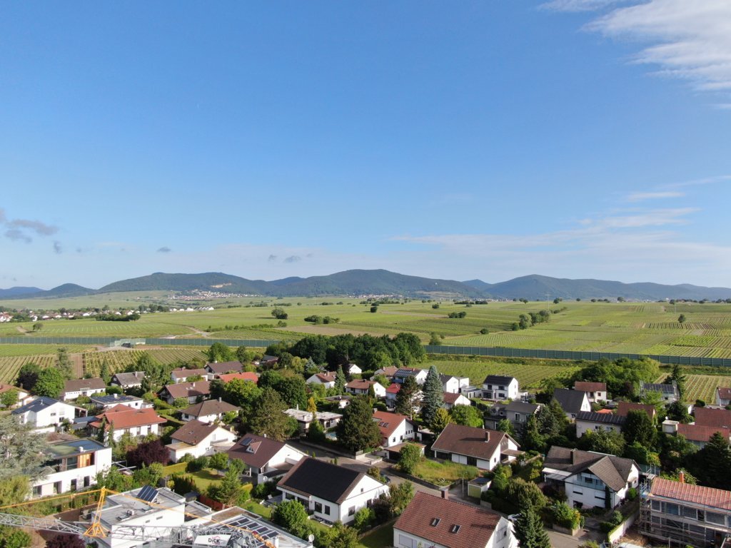 DJI_0982 (FILEminimizer)